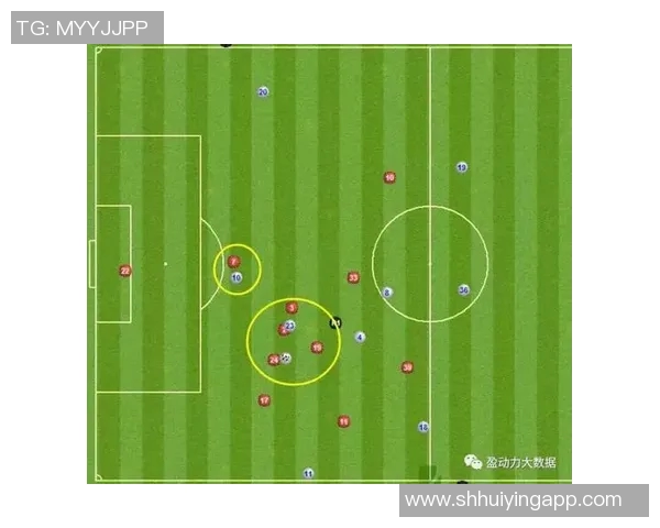 杭州羽毛球队创新盯防战术解析助力竞技水平提升