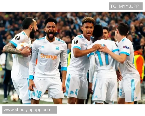 欧塞尔对阵尼奥尔的精彩比赛比分分析与赛后点评