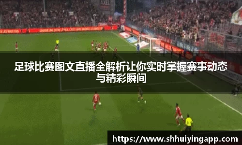 中欧体育