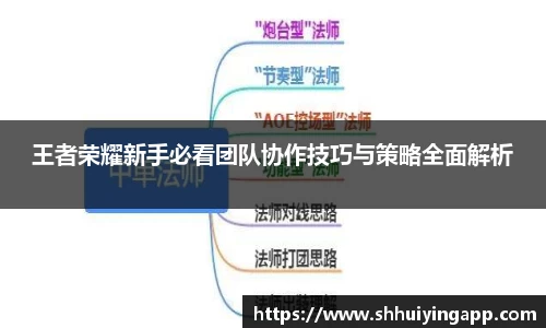 中欧官网app