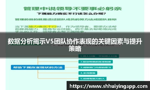 数据分析揭示V5团队协作表现的关键因素与提升策略