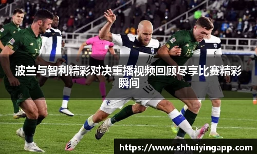中欧体育
