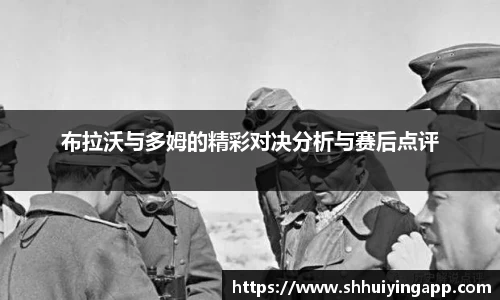 中欧体育