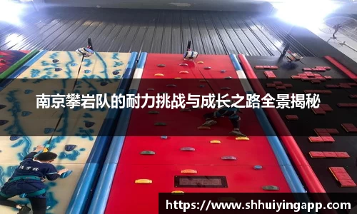 中欧官网app