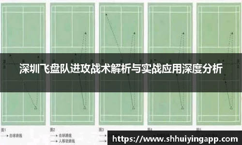 深圳飞盘队进攻战术解析与实战应用深度分析
