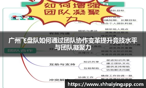 广州飞盘队如何通过团队协作变革提升竞技水平与团队凝聚力