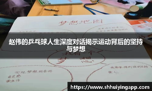 赵伟的乒乓球人生深度对话揭示运动背后的坚持与梦想